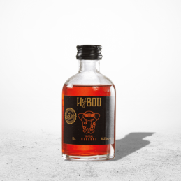 HYBOU NEGRONI  _ 10CL / 30.5°