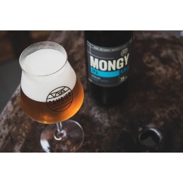 MONGY IPA 6.8° _ 33cl VP