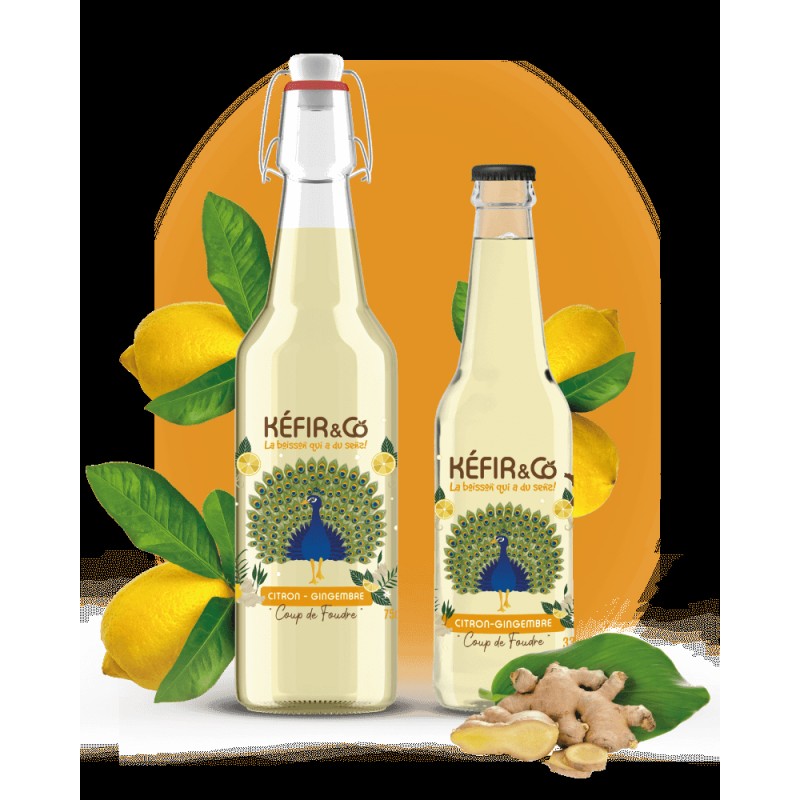 KEFIR DE FRUITS Citron Gingembre BIO 75cl