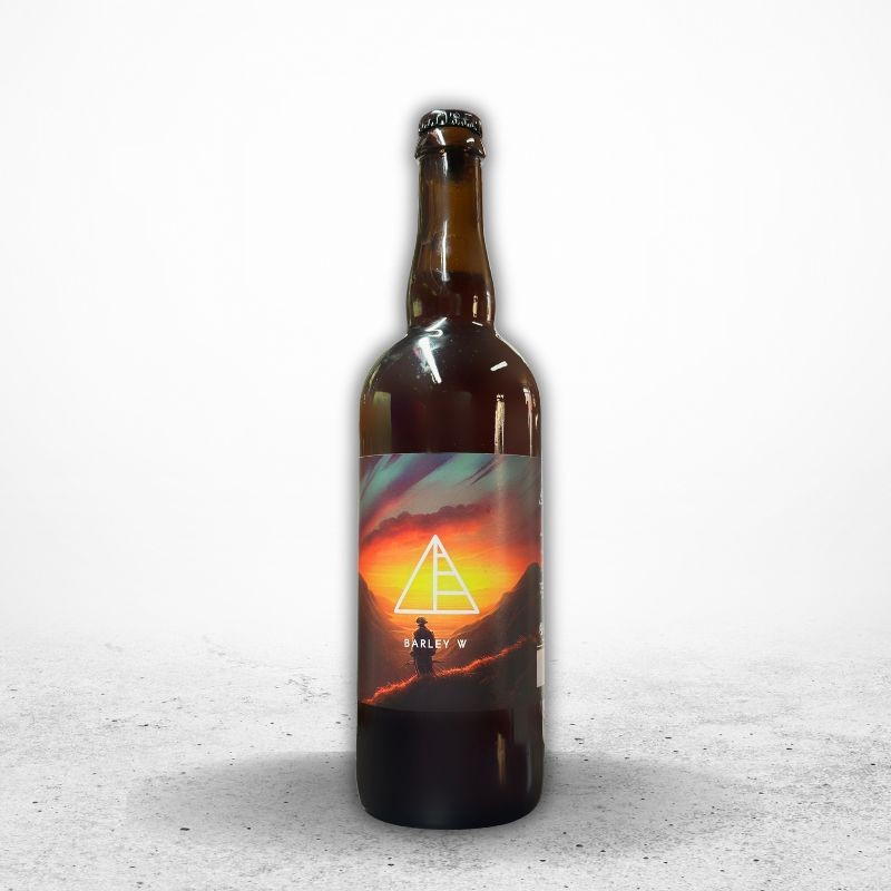 NOUVEAU MONDE Bière Barley Wine 10.9° _ 75cl/VP