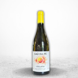L'Eclipse VDF du Sud Ouest...