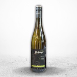 MUSCAT   d'ALSACE Blanc...