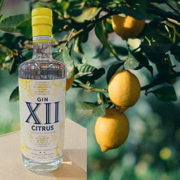 GIN XII CITRUS 70CL 40°